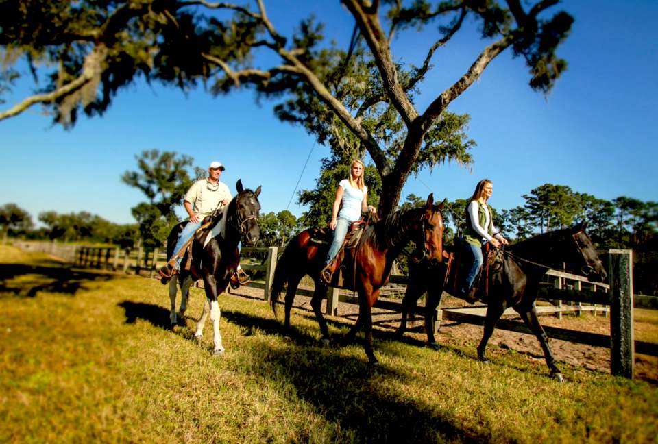 Frederica Golf Club - Four Bedroom Luxury Cottages - Saint Simons Island, Georgia