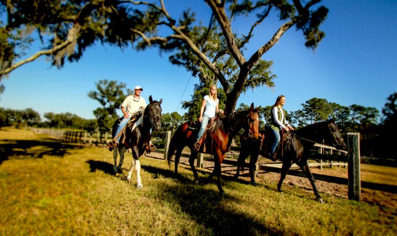 Frederica Golf Club - Four Bedroom Luxury Cottages - Saint Simons Island, Georgia