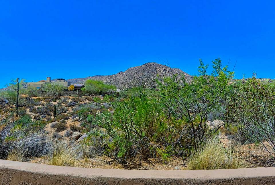 Sonoran Desert Beauty - Scottsdale, Arizona