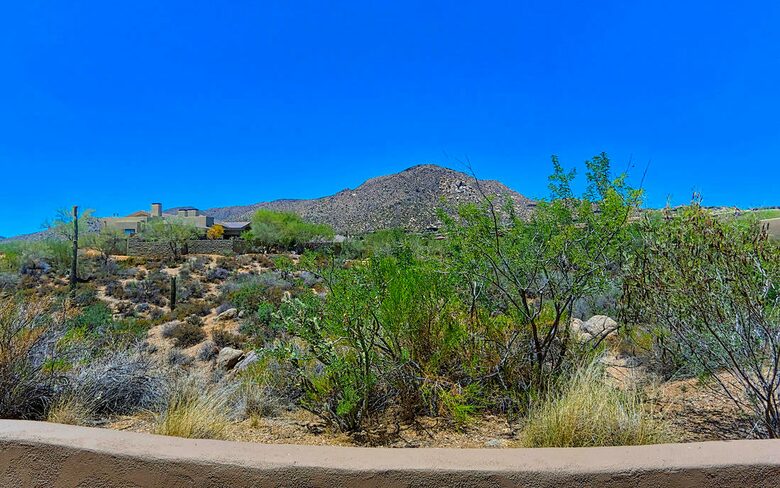 Sonoran Desert Beauty - Scottsdale, Arizona