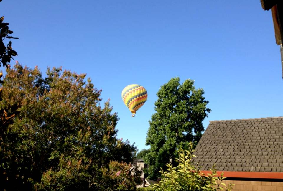 Beauty in the Heart of Wine Country! - Yountville, California