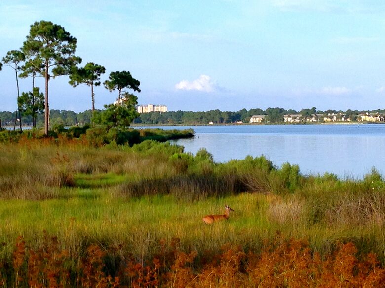 Bay Front Beauty - Miramar Beach, Florida