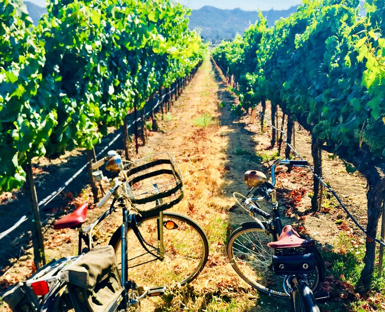 Beauty in the Heart of Wine Country! - Yountville, California