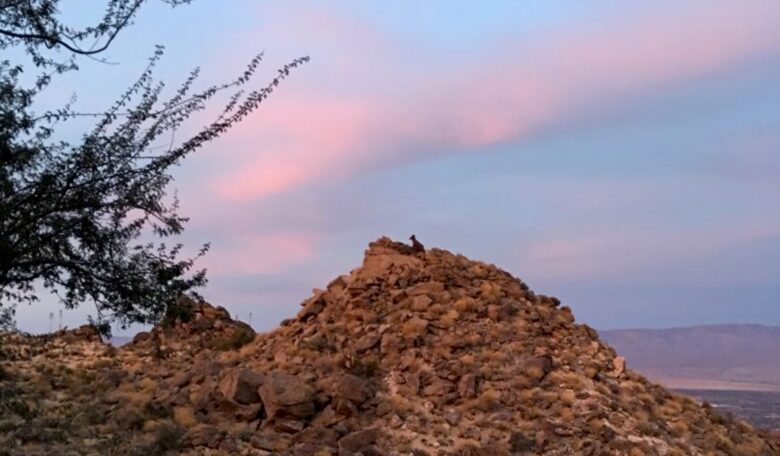 Casas Las Rocas - Mountain Center, California
