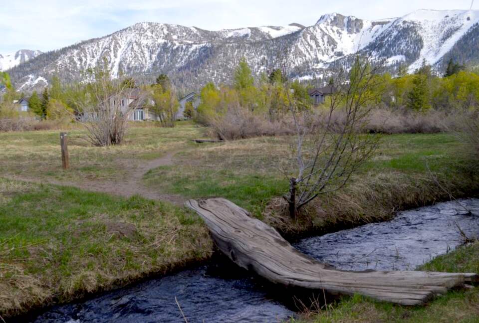 Luxurious Creek Front Oasis - Mammoth Lakes, California