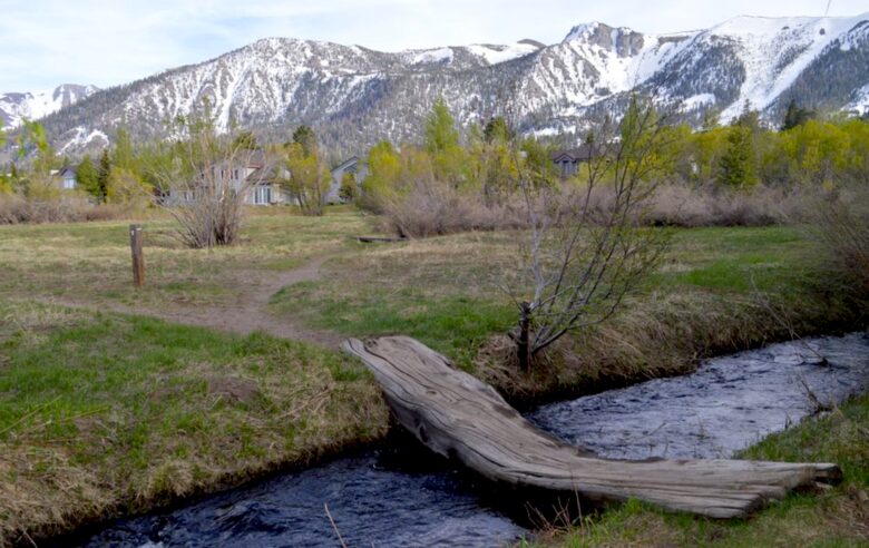 Luxurious Creek Front Oasis - Mammoth Lakes, California