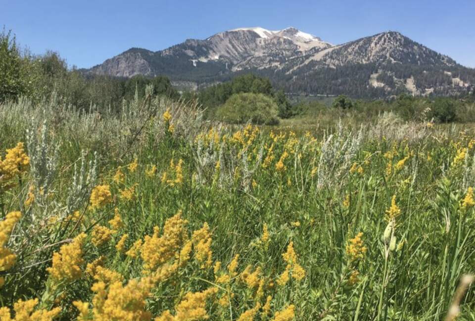 Luxurious Creek Front Oasis - Mammoth Lakes, California