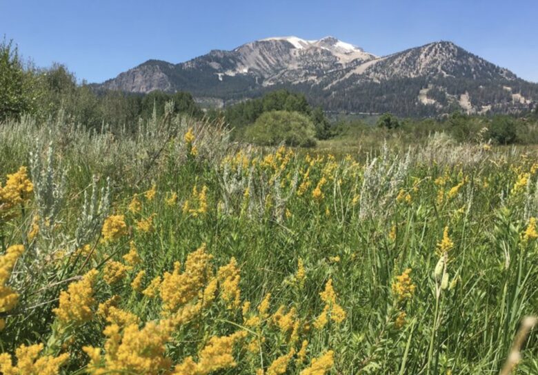 Luxurious Creek Front Oasis - Mammoth Lakes, California