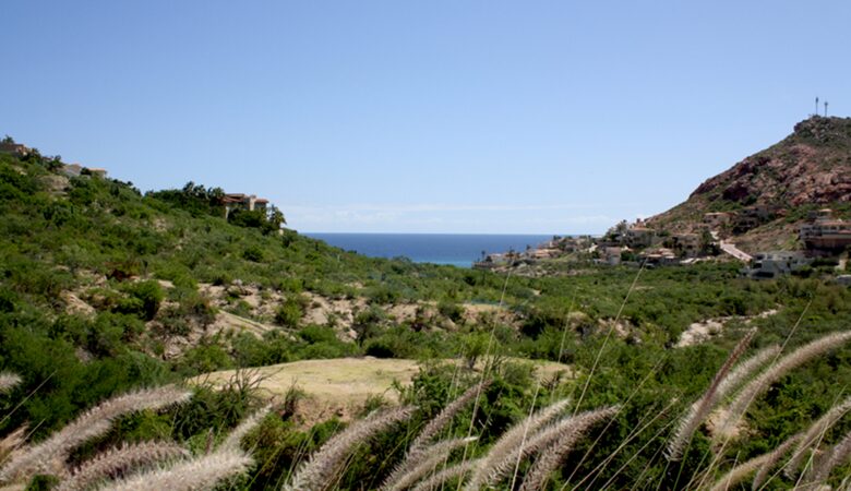 Las Terrazas Designer Luxury - San Jose del Cabo, Mexico