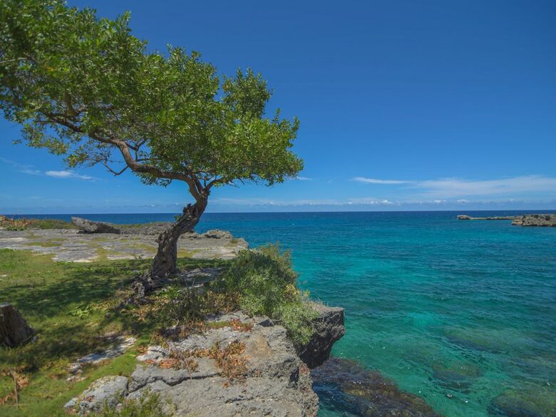 Luxury SettleDown Villa 2 at Chukka Cove in St Ann - Llandovery, Jamaica