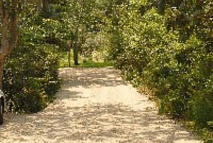 Amangansett Dunes - Amagansett, New York