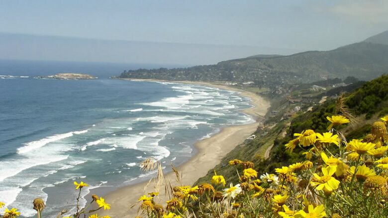 Rambla - Zapallar, Chile