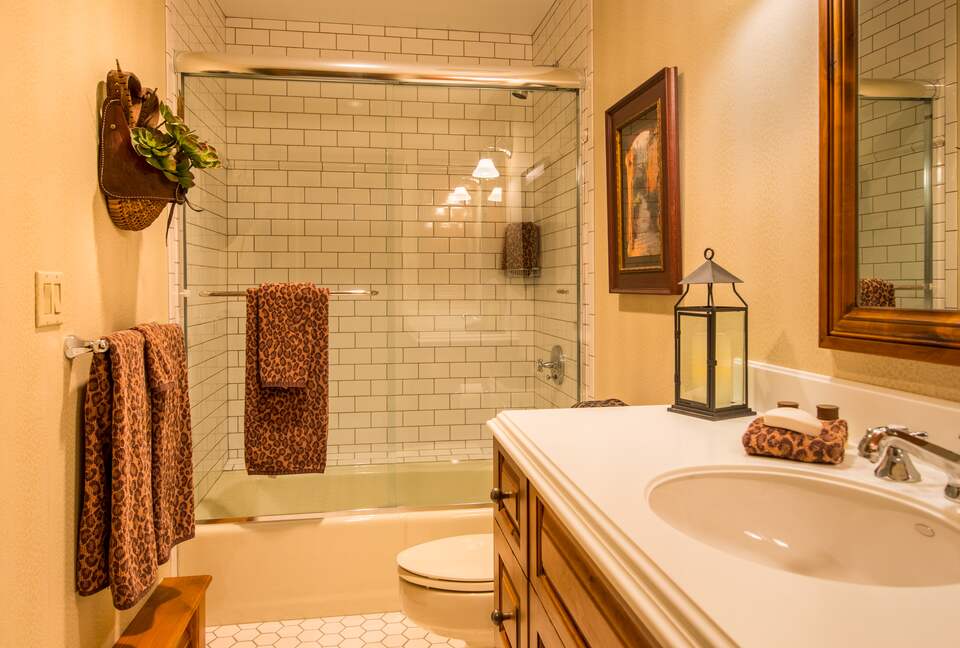 Vail Mountain Getaway - Vail, Colorado