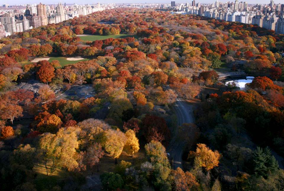 Central Park South Views in New York City! - New York City, New York