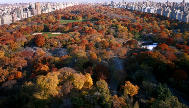 Central Park South Views in New York City! - New York City, New York