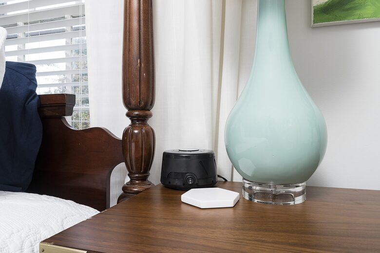 Marshall Art House in Downtown Greenville - Greenville, South Carolina