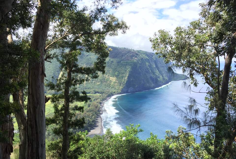 Volcano Black Bamboo House - Volcano, Big Island, Hawaii