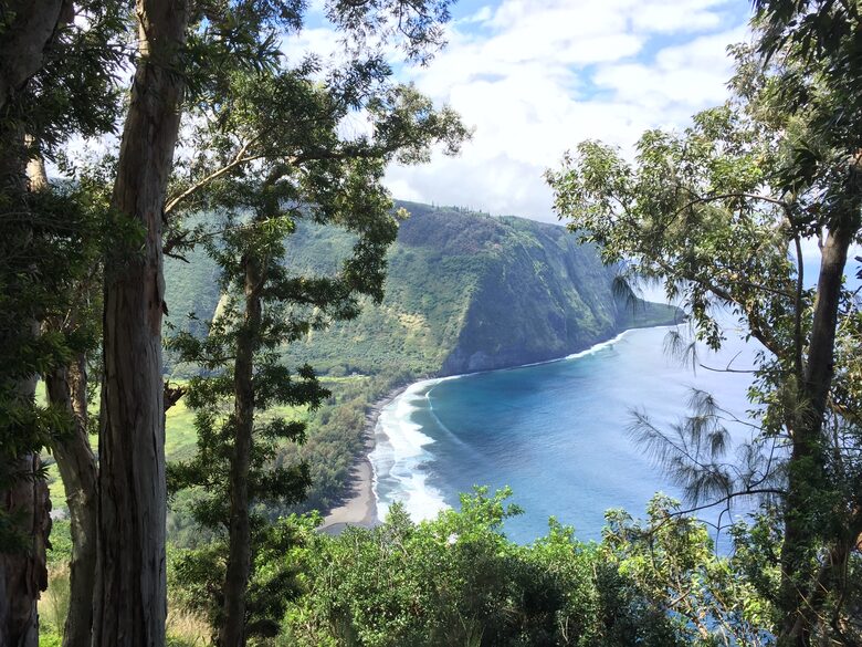Volcano Black Bamboo House - Volcano, Big Island, Hawaii