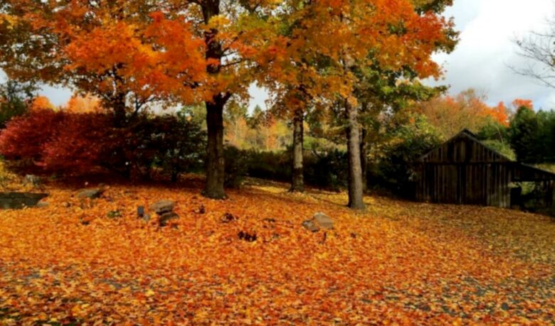 Upstate Country Estate - Chatham, New York