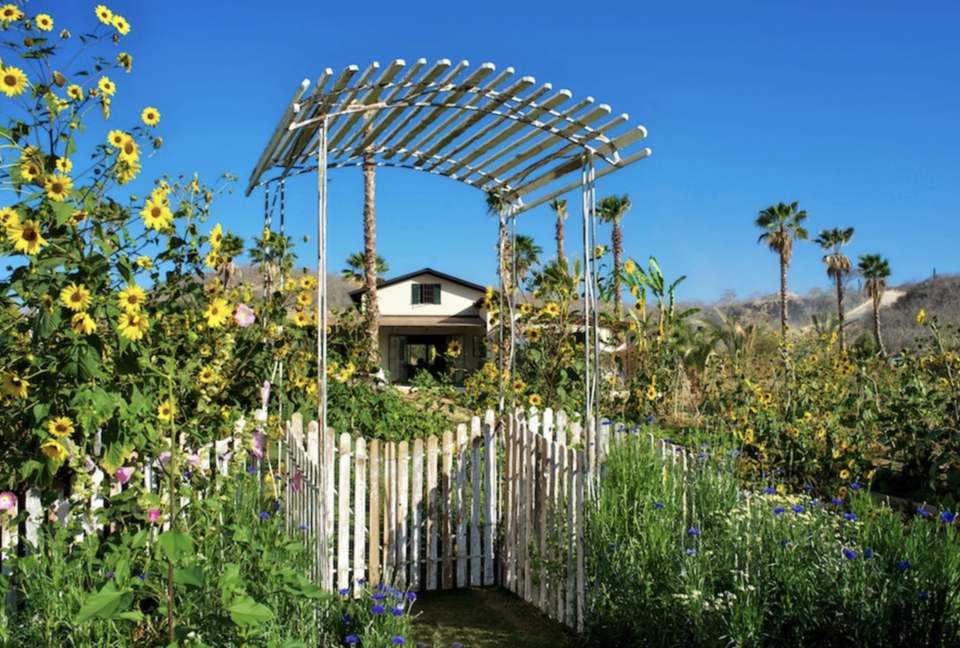 Flora Farms - Culinary Cottage - San Jose Del Cabo, Mexico