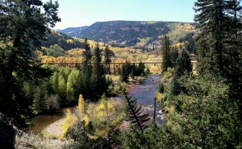 Cozy Ski Cabin Near Vail and Beaver Creek! - Minturn, Colorado