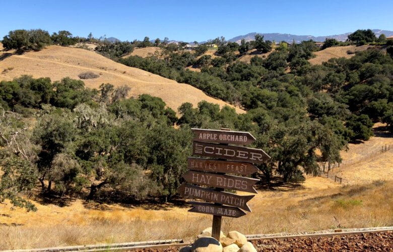 Fawn Canyon Ranch - Santa Ynez, California