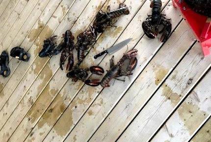 Quoddy Head - West Quoddy, Canada