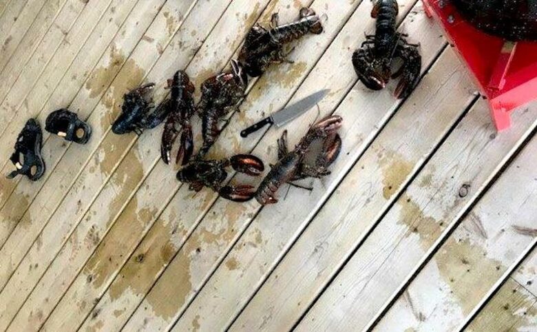 Quoddy Head - West Quoddy, Canada