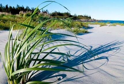 Quoddy Head - West Quoddy, Canada