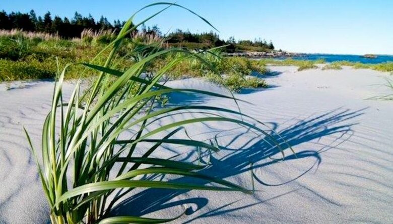 Quoddy Head - West Quoddy, Canada
