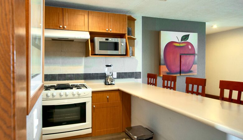 Marina Vallarta Residence - Puerto Vallarta, Mexico