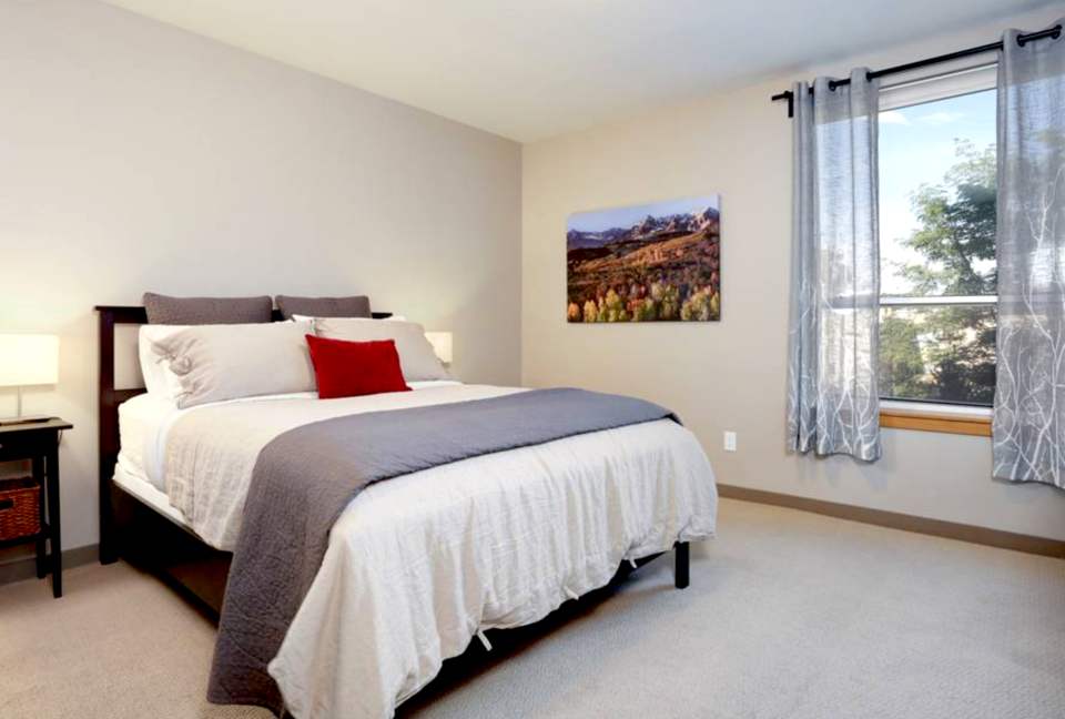 Modern Downtown Denver Home - Denver, Colorado