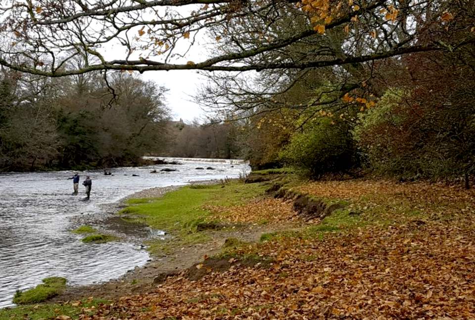 River Run Cottage - Barnard Castle, County Durham, United Kingdom