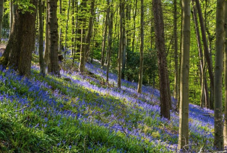River Run Cottage - Barnard Castle, County Durham, United Kingdom