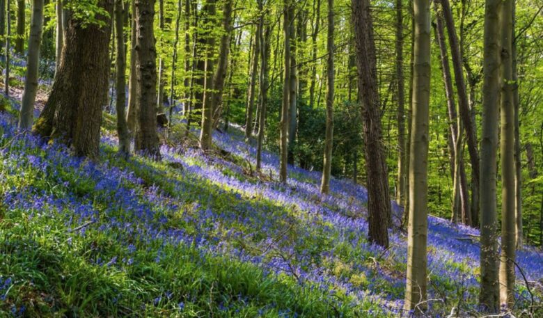 River Run Cottage - Barnard Castle, County Durham, United Kingdom