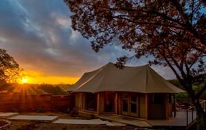 Firesong Ranch and Glamping - The Casita and Ndotto - Spicewood, Texas