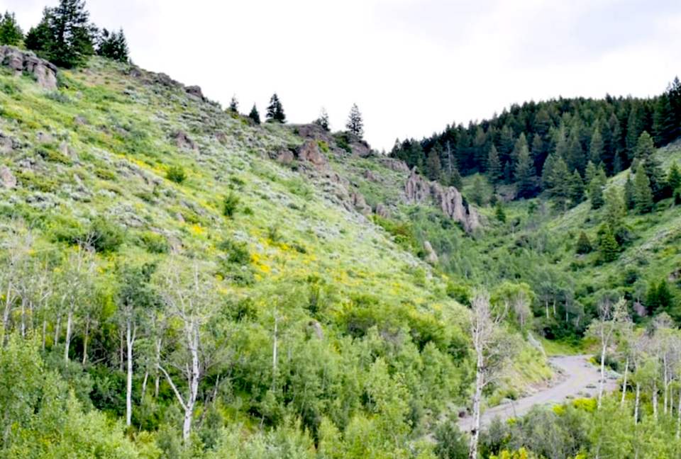 The Lodge at Cherry Butte - Ashton, Idaho