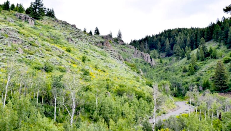 The Lodge at Cherry Butte - Ashton, Idaho