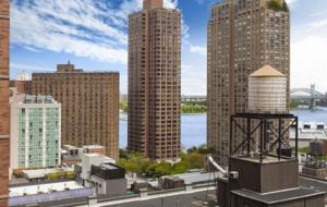 Luxury Upper East Side Family Apartment - New York, New York