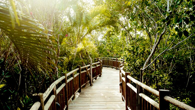 Vidanta Riviera Maya - Grande Luxxe Three Bedroom Loft Residence - Playa del Carmen, Mexico