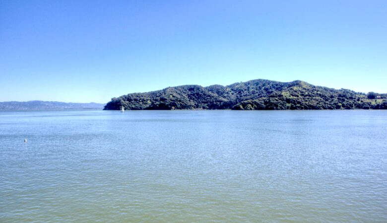 Waterfront Apartment: A Ferry Away From San Francisco! - Tiburon, California