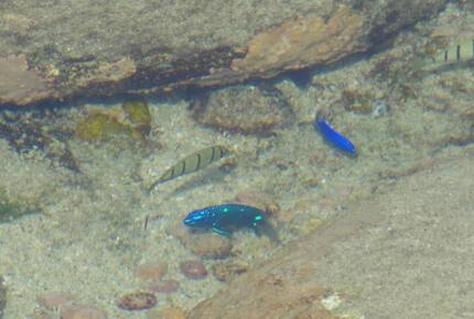 Villa Punta Serena - Cabo San Lucas, Mexico