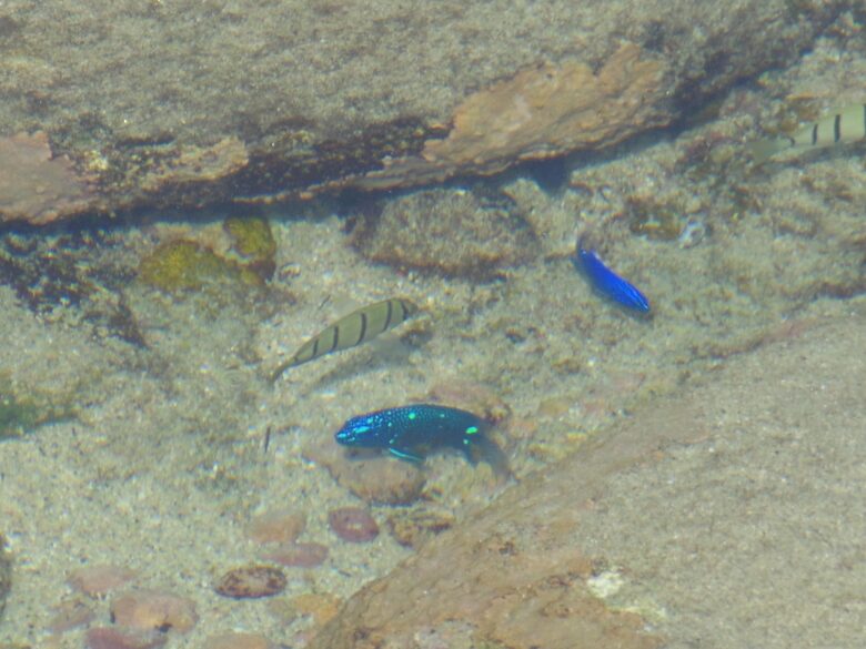 Villa Punta Serena - Cabo San Lucas, Mexico