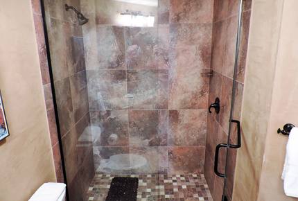 5 Bedroom in the Town of Telluride - Telluride, Colorado