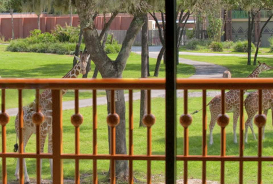 Disney's Animal Kingdom Villas - Kidani Village Two-Bedroom - Orlando, Florida