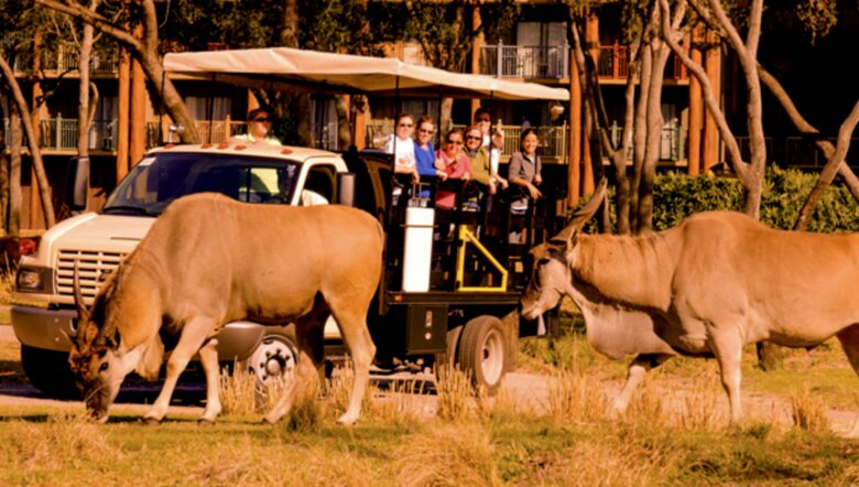 Disney's Animal Kingdom Villas - Kidani Village Two-Bedroom - Orlando, Florida