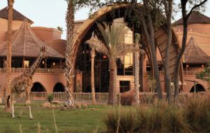 Disney's Animal Kingdom Villas - Kidani Village Two-Bedroom - Orlando, Florida