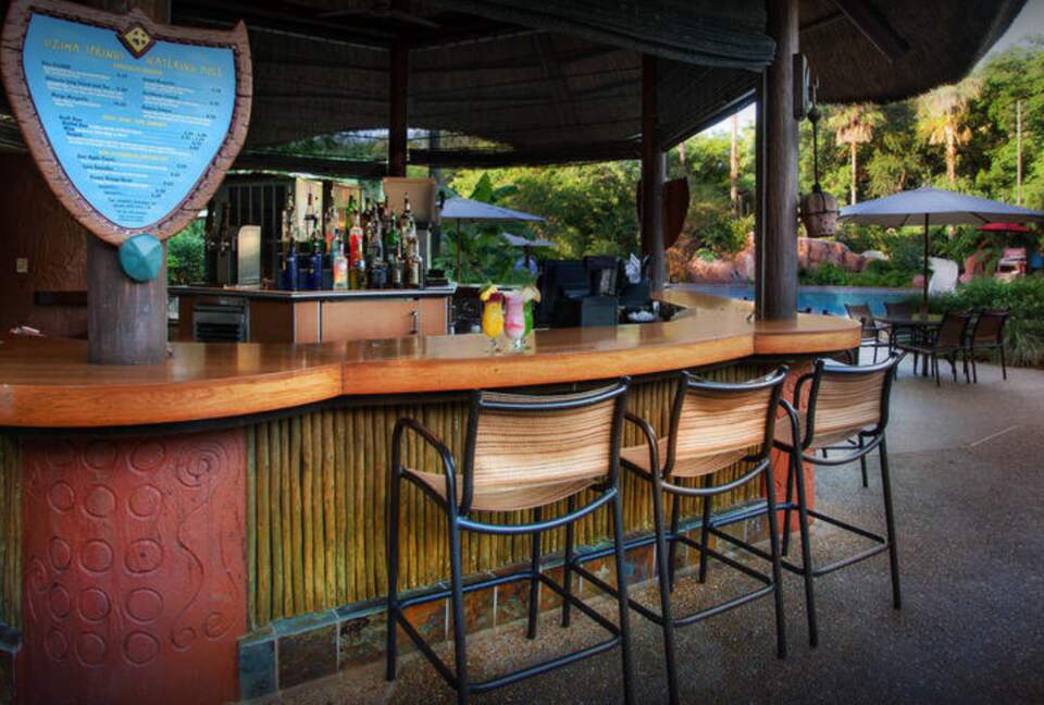 Disney's Animal Kingdom Villas - Kidani Village Two-Bedroom - Orlando, Florida