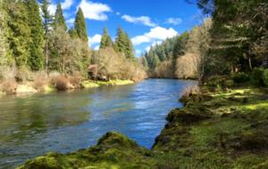 Whispering Pines - Vida, Oregon