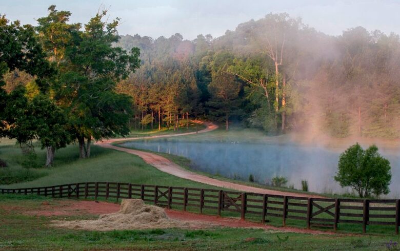 Bogle Farms - Greenville, Georgia